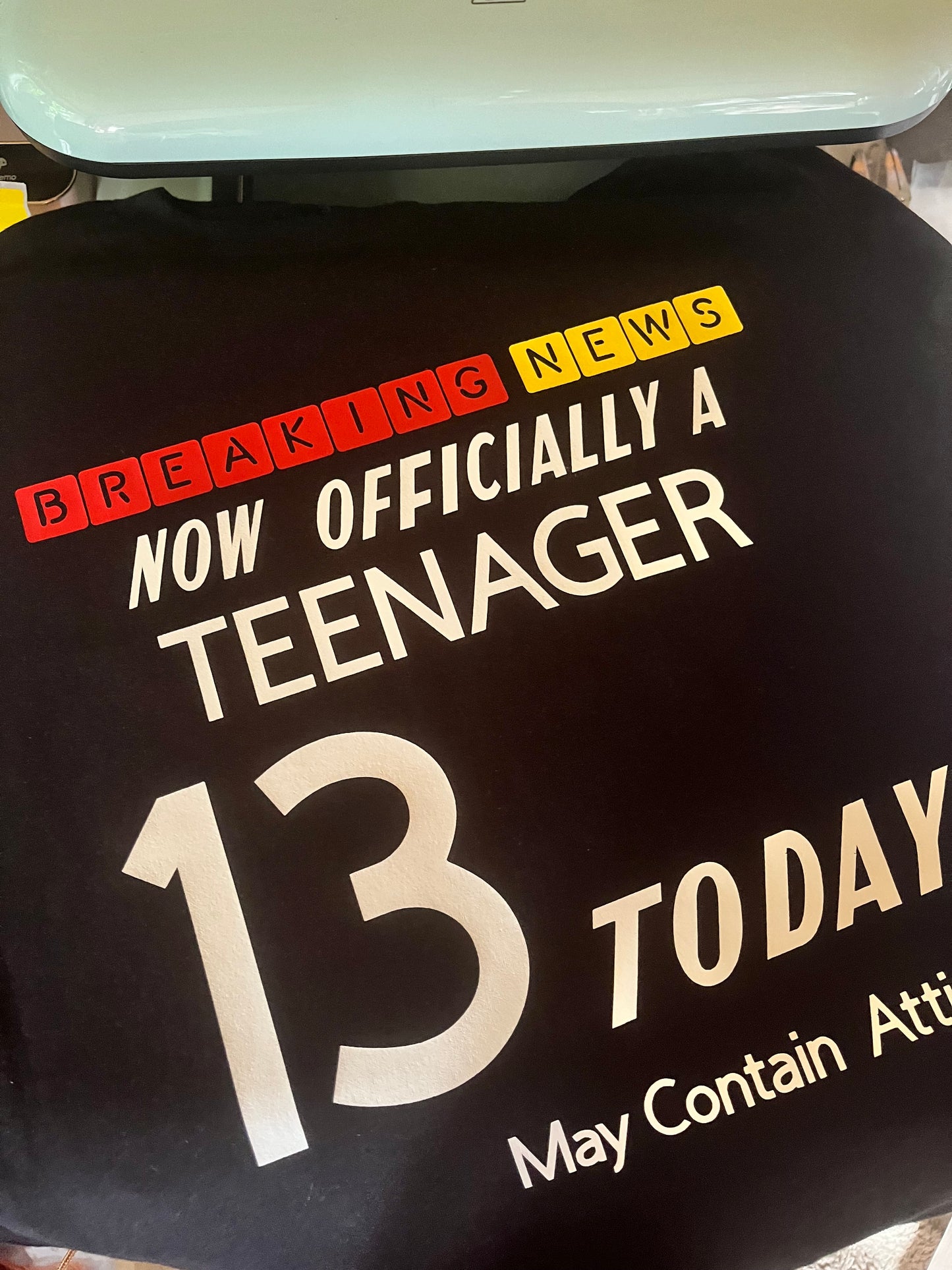 13th Birthday T Shirt - Custom Order