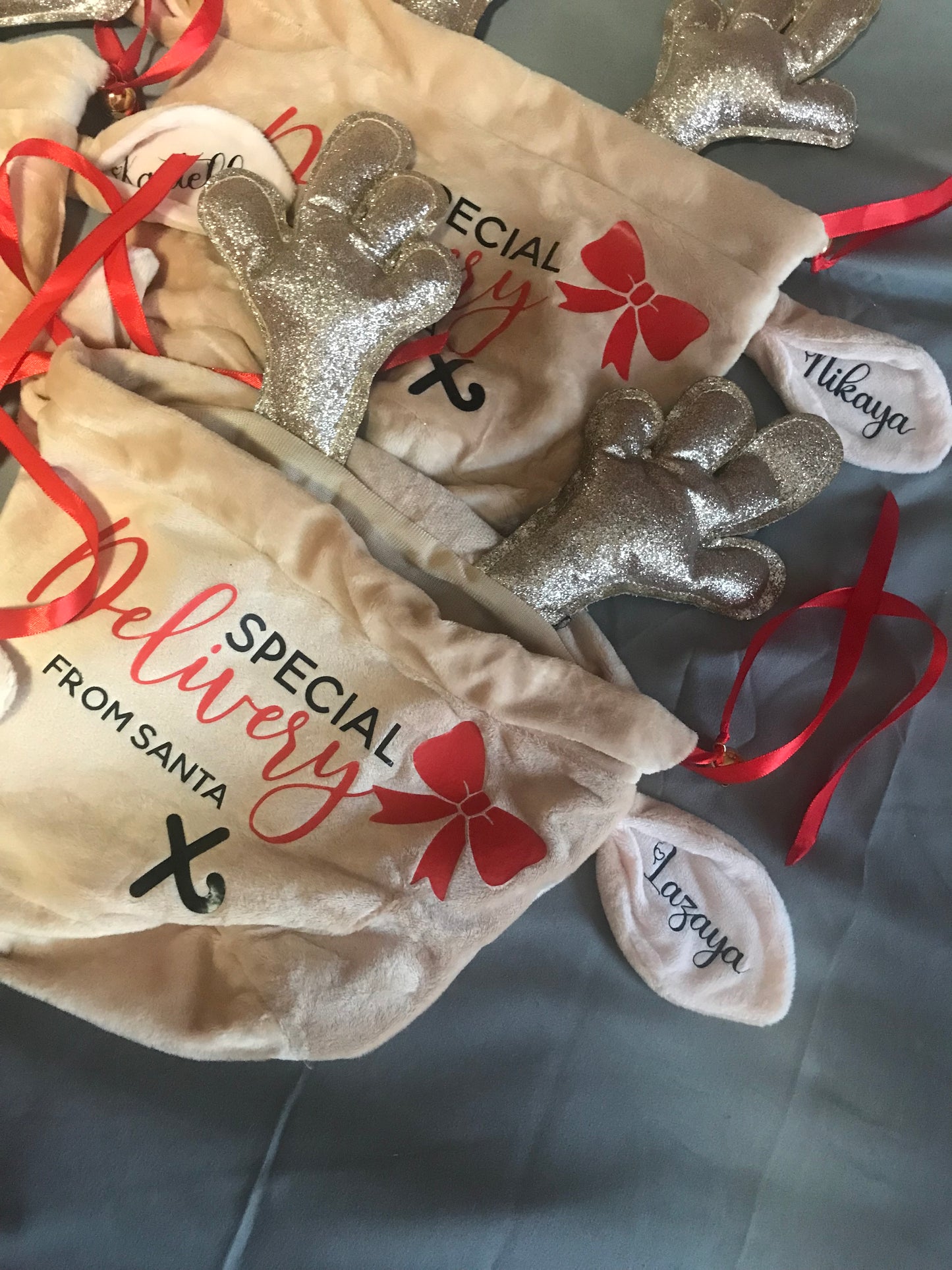 Special Delivery From Santa - Reindeer Eared Treatbags