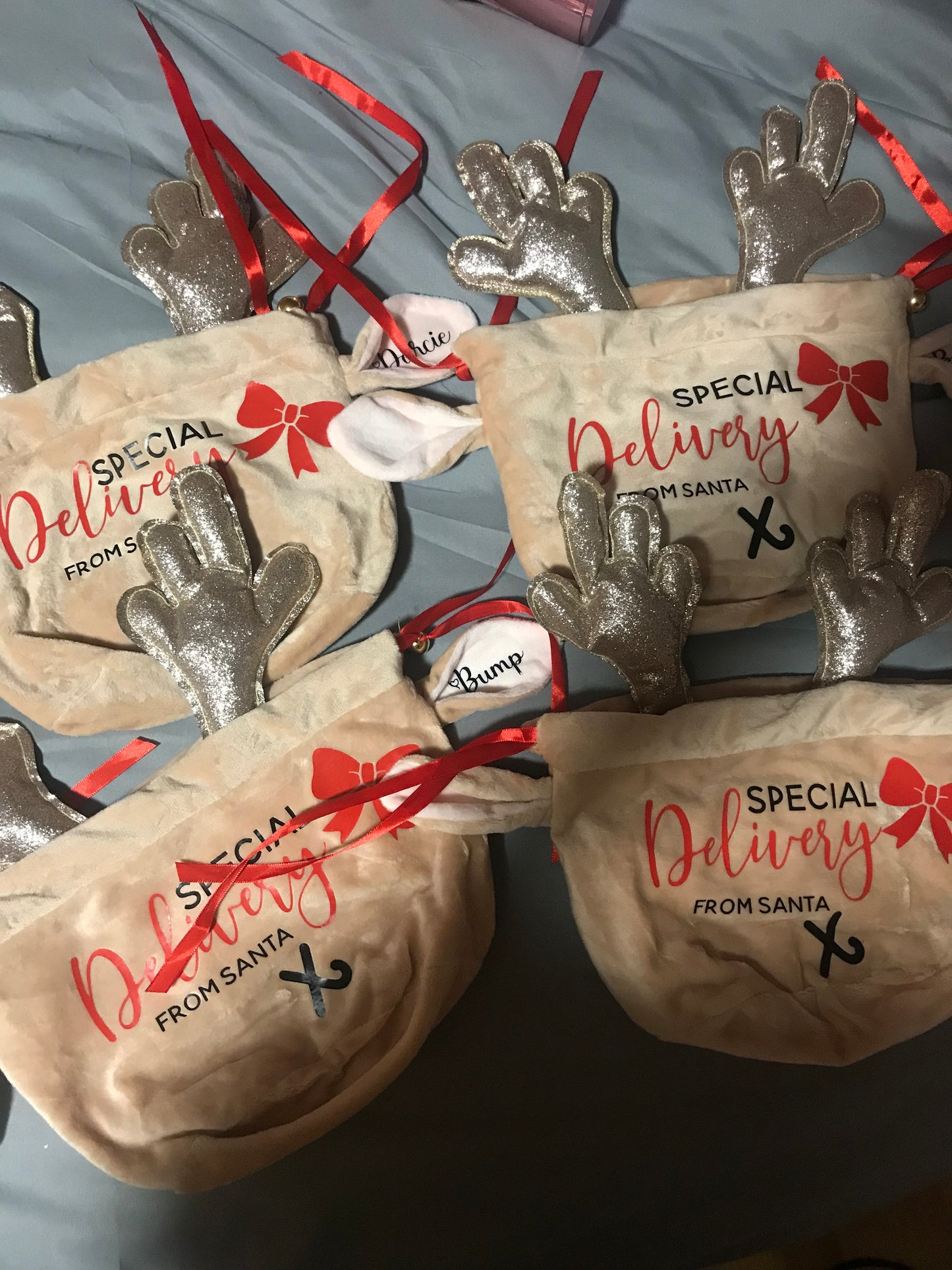Special Delivery From Santa - Reindeer Eared Treatbags