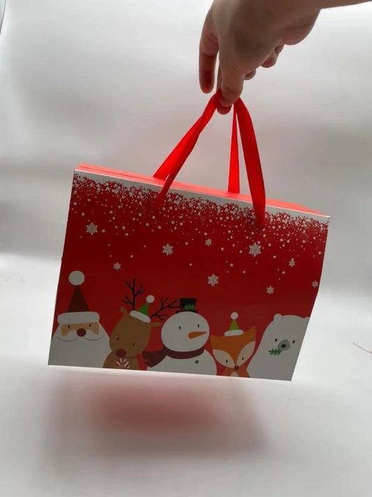 Christmas Eve box which looks like a bag