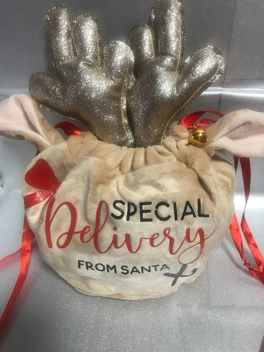 Special Delivery From Santa - Reindeer Eared Treatbags